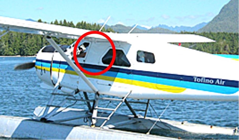 Occurrence aircraft structure (picture taken in 2010, with previous paint scheme) (Source: Tofino Air, with TSB annotations)
