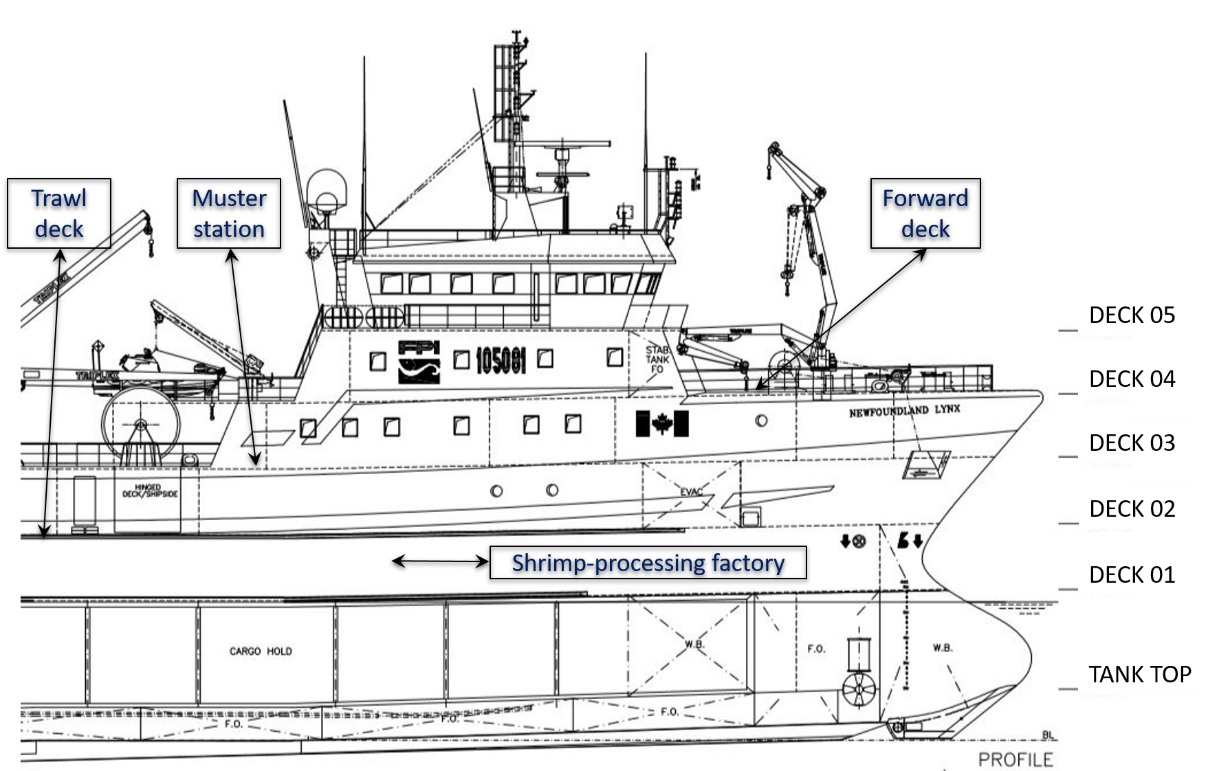 General arrangement of the Newfoundland Lynx, in profile, showing the locations of the trawl deck, the muster station, the forward deck, and the shrimp-processing factory (Source: ShipCon ApS, with TSB annotations)