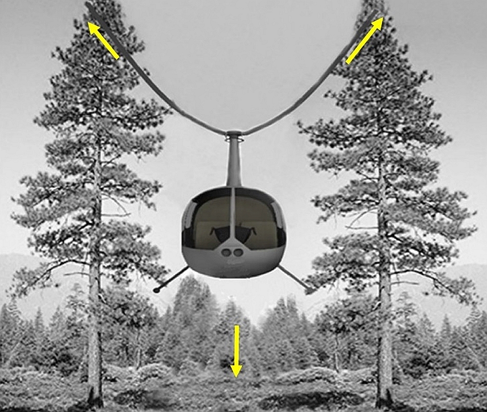 Illustration de l’interaction entre les pales du rotor principal à l’arrêt et les arbres lors d’une chute à la verticale (Source : BST)